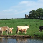 Lancaster Canal & Greenhalgh Castle